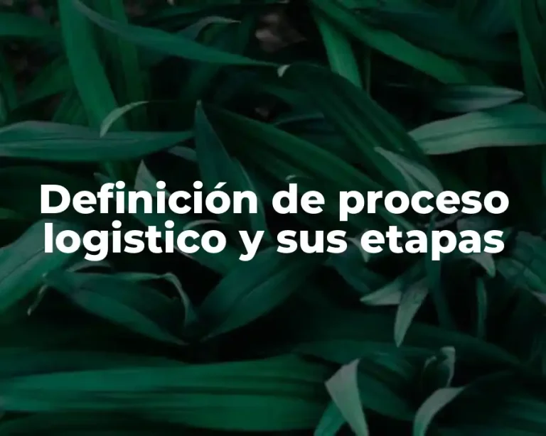 Definición de proceso logistico y sus etapas