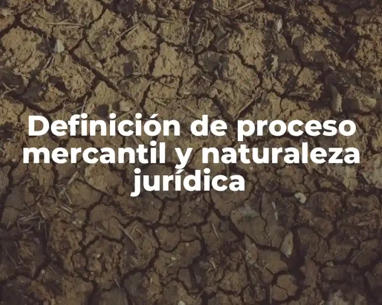 Definición de proceso mercantil y naturaleza jurídica