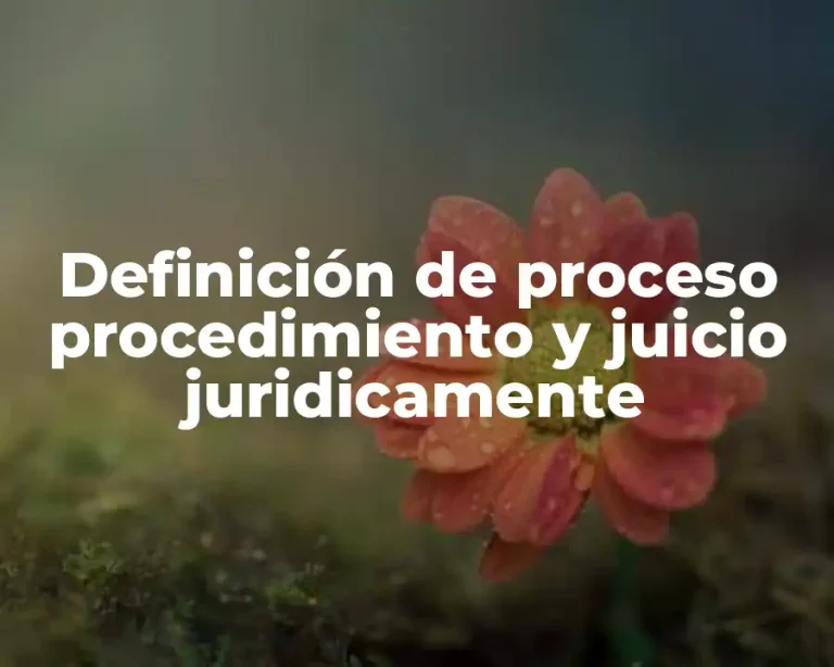 Definición de proceso procedimiento y juicio juridicamente