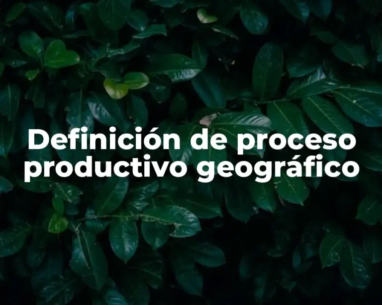 Definición de proceso productivo geográfico