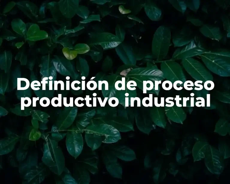 Definición de proceso productivo industrial