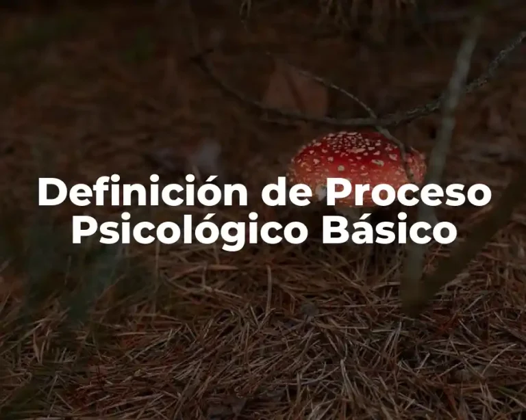 Definición de Proceso Psicológico Básico