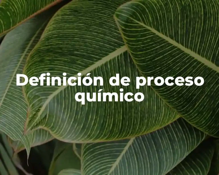 Definición de proceso químico