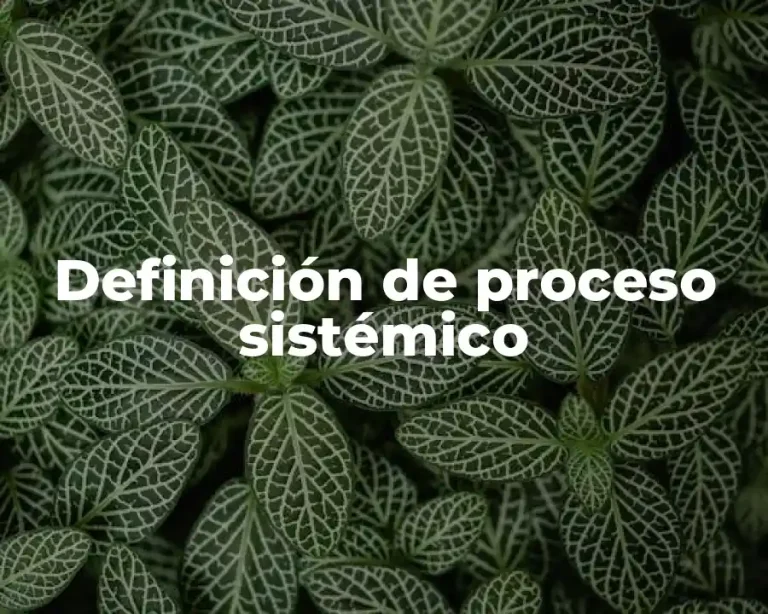 Definición de proceso sistémico