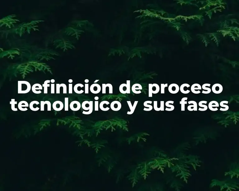 Definición de proceso tecnologico y sus fases