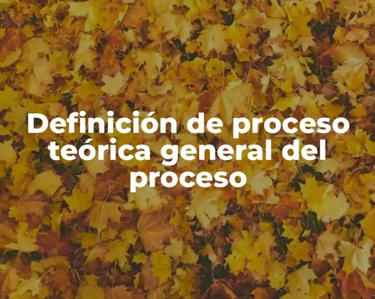 Definición de proceso teórica general del proceso
