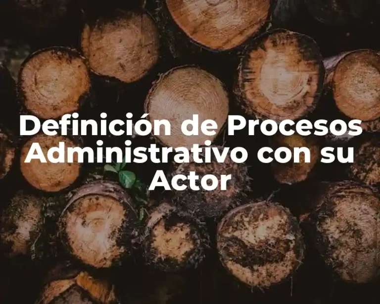 Definición de Procesos Administrativo con su Actor