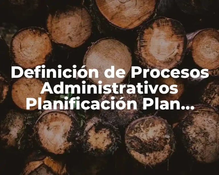 Definición de Procesos Administrativos Planificación Plan Programa y Proyecto