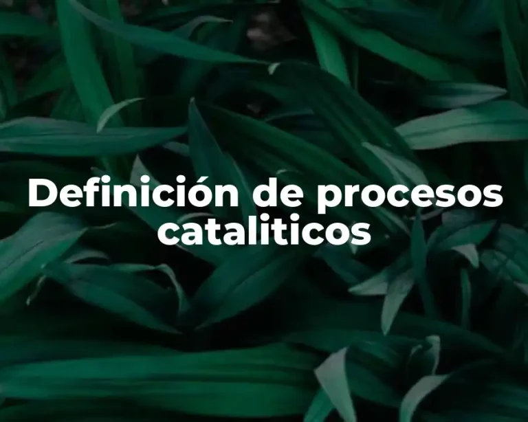 Definición de procesos cataliticos