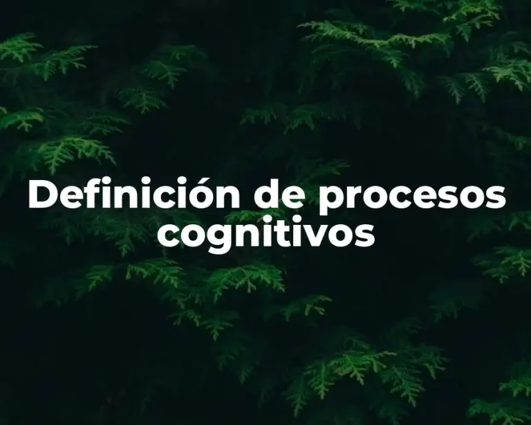 Definición de procesos cognitivos