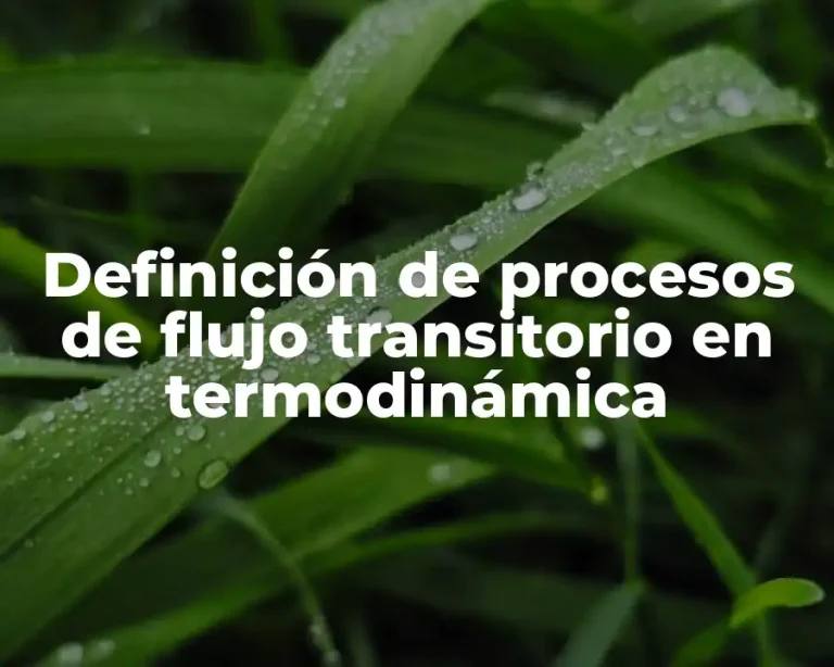 Definición de procesos de flujo transitorio en termodinámica