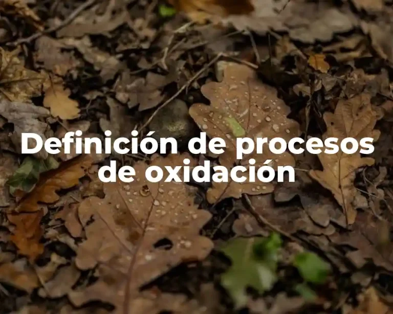 Definición de procesos de oxidación
