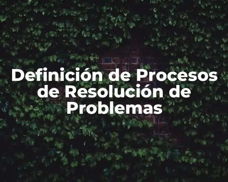 Definición de Procesos de Resolución de Problemas