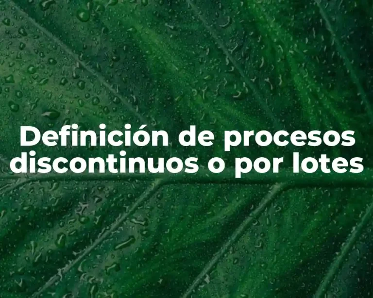 Definición de procesos discontinuos o por lotes