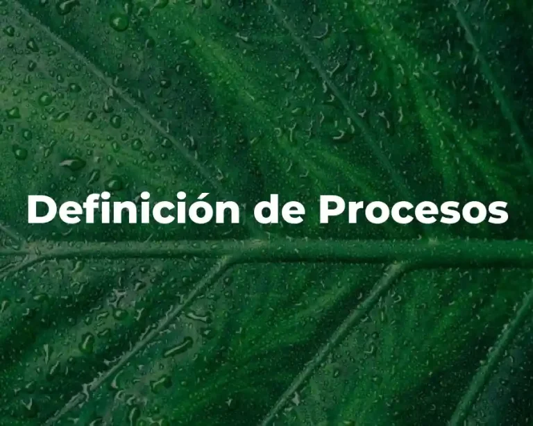 Definición de Procesos