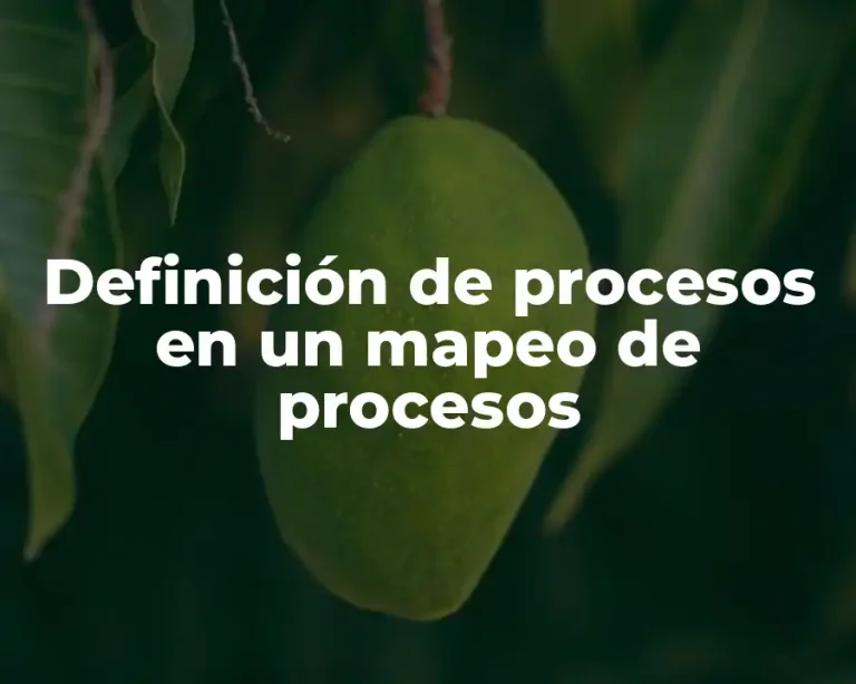 Definición de procesos en un mapeo de procesos
