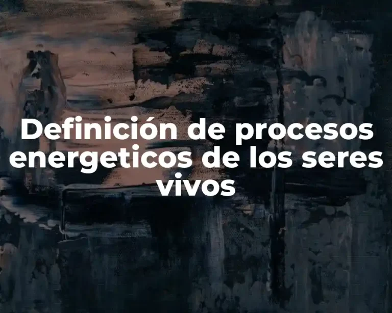 Definición de procesos energeticos de los seres vivos