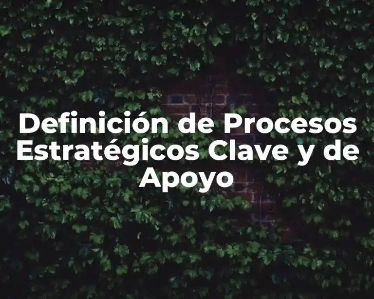 Definición de Procesos Estratégicos Clave y de Apoyo