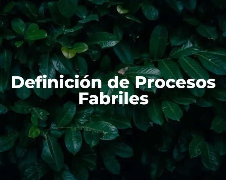 Definición de Procesos Fabriles