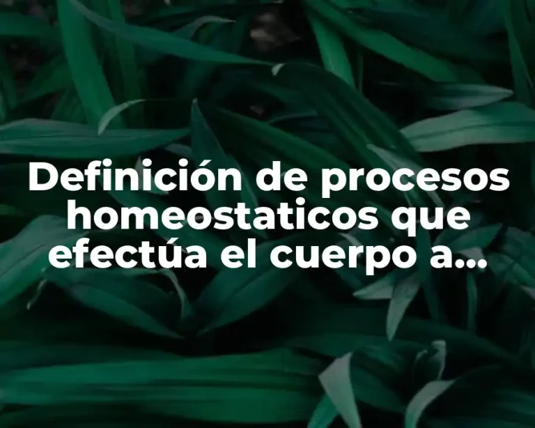 Definición de procesos homeostaticos que efectúa el cuerpo a diario
