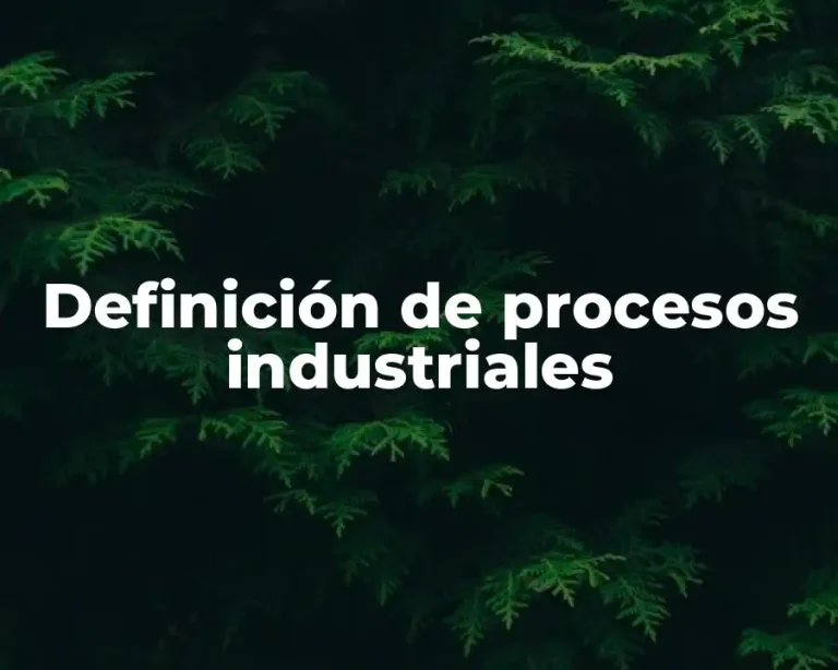 Definición de procesos industriales