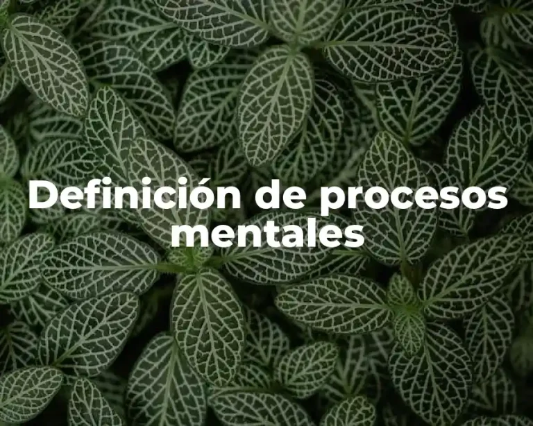Definición de procesos mentales
