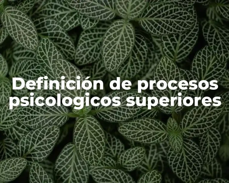 Definición de procesos psicologicos superiores