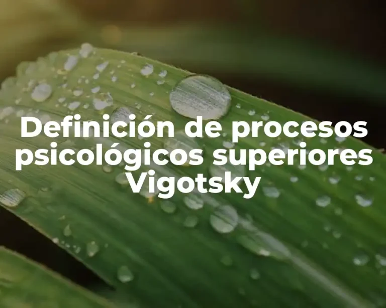 Definición de procesos psicológicos superiores Vigotsky