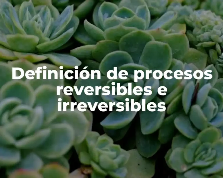 Definición de procesos reversibles e irreversibles