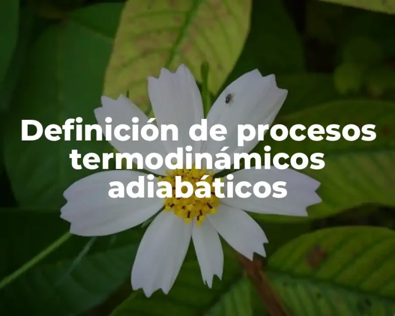 Definición de procesos termodinámicos adiabáticos