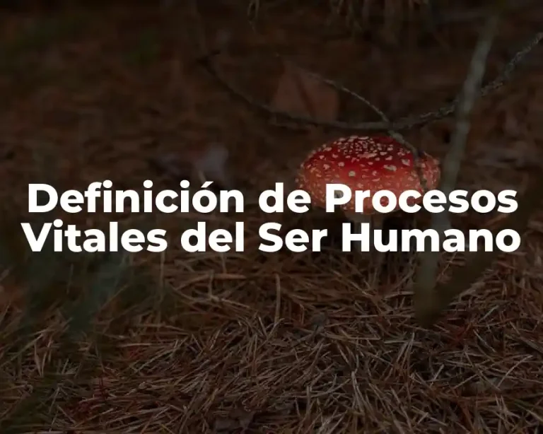 Definición de Procesos Vitales del Ser Humano