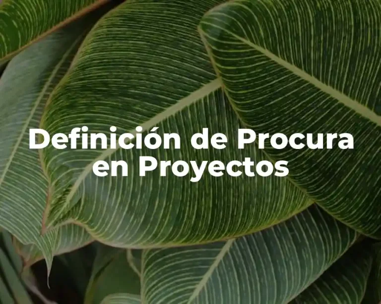 Definición de Procura en Proyectos