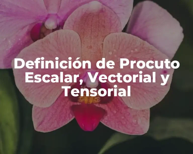 Definición de Procuto Escalar, Vectorial y Tensorial