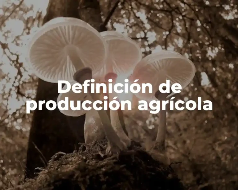 Definición de producción agrícola
