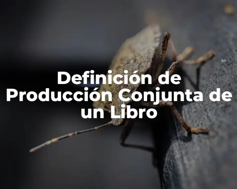 Definición de Producción Conjunta de un Libro