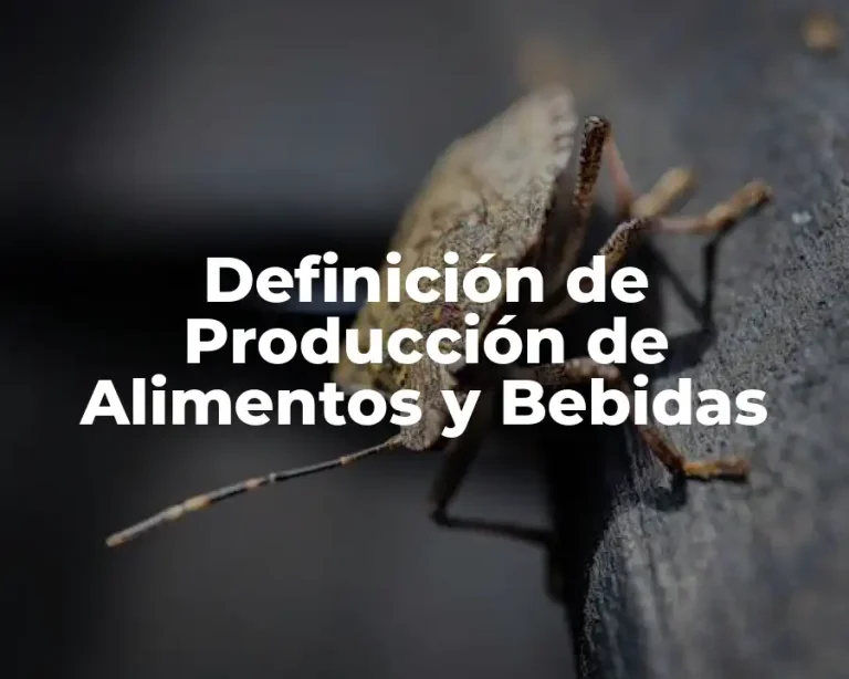 Definición de Producción de Alimentos y Bebidas