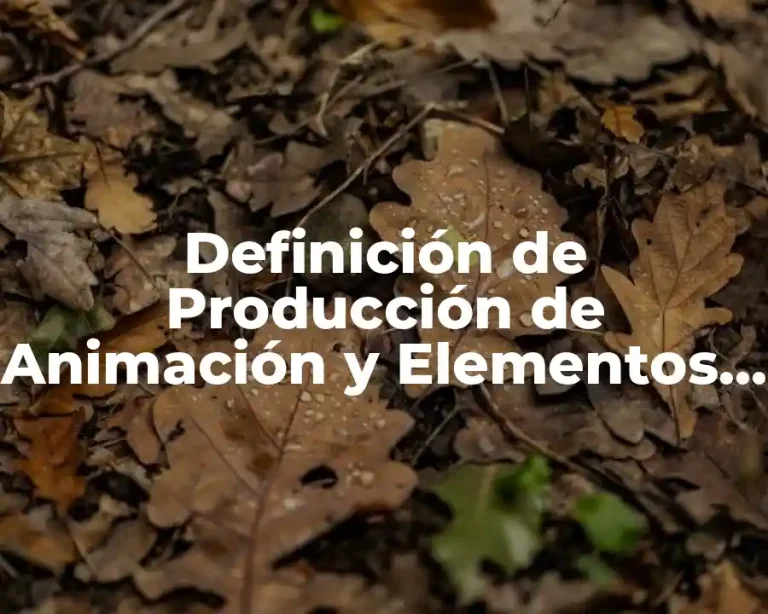 Definición de Producción de Animación y Elementos Multimedia
