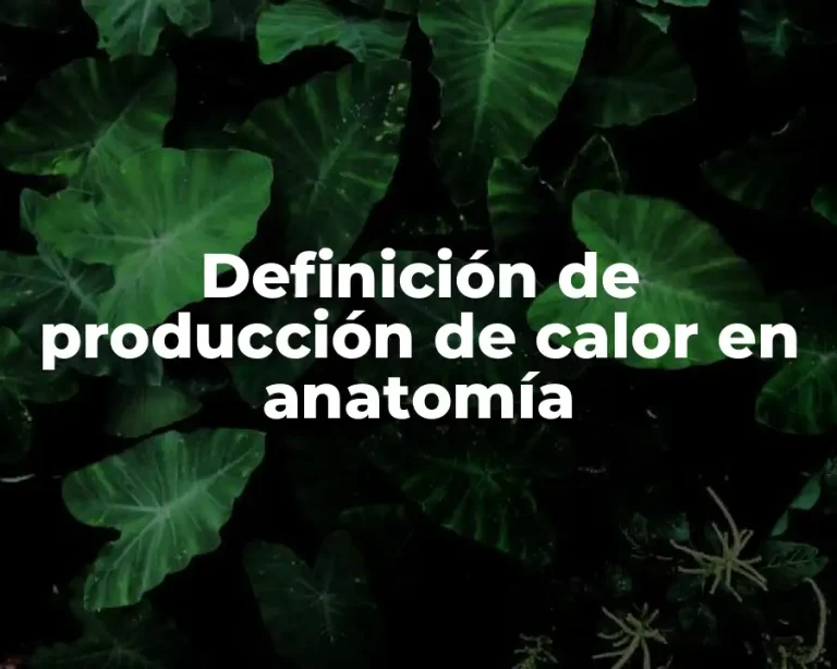 Definición de producción de calor en anatomía