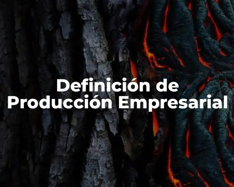 Definición de Producción Empresarial
