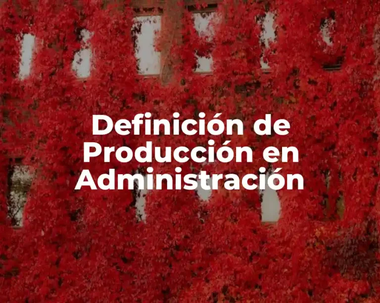 Definición de Producción en Administración