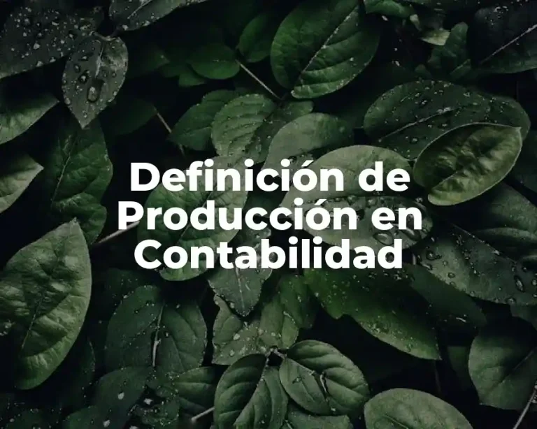 Definición de Producción en Contabilidad