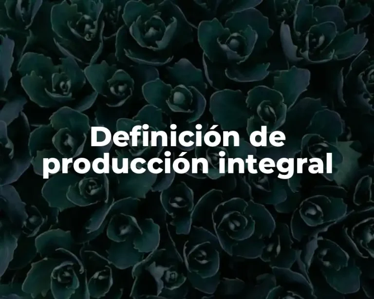 Definición de producción integral