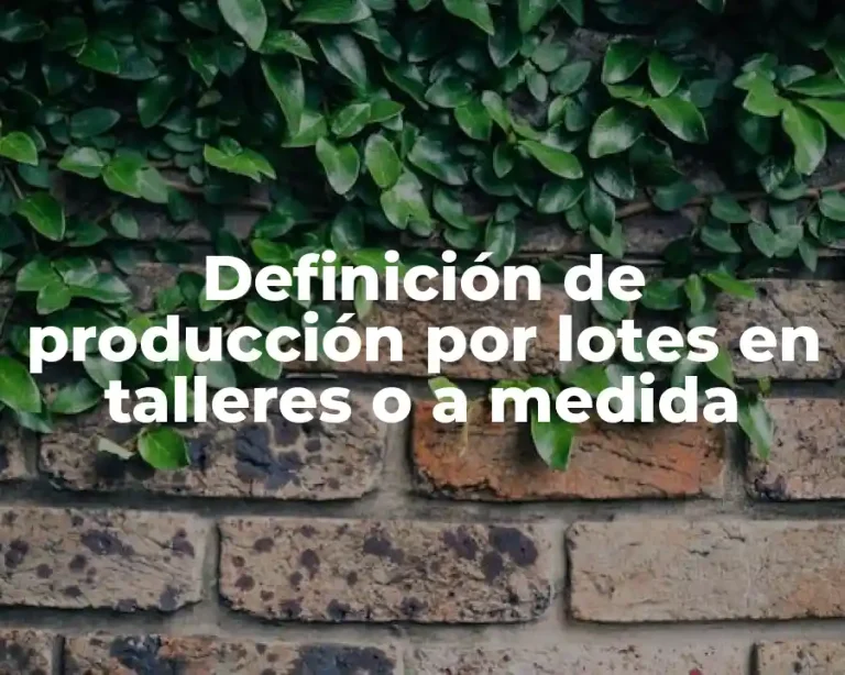 Definición de producción por lotes en talleres o a medida