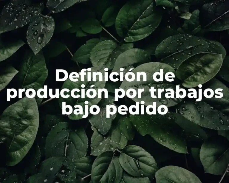 Definición de producción por trabajos bajo pedido