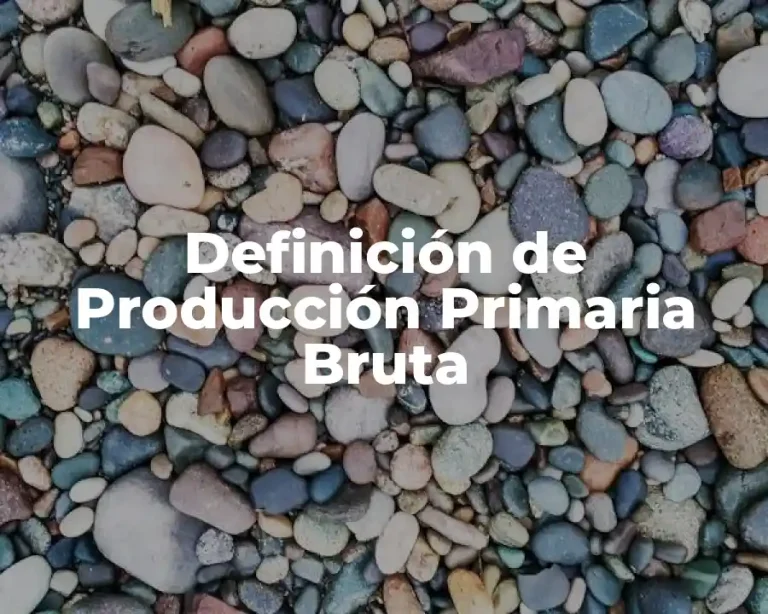 Definición de Producción Primaria Bruta