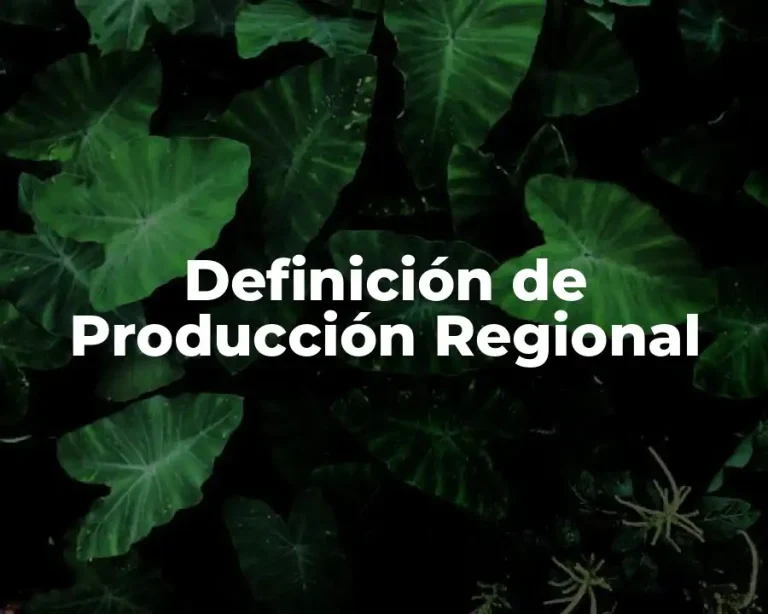Definición de Producción Regional
