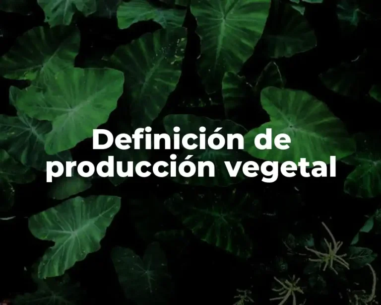 Definición de producción vegetal