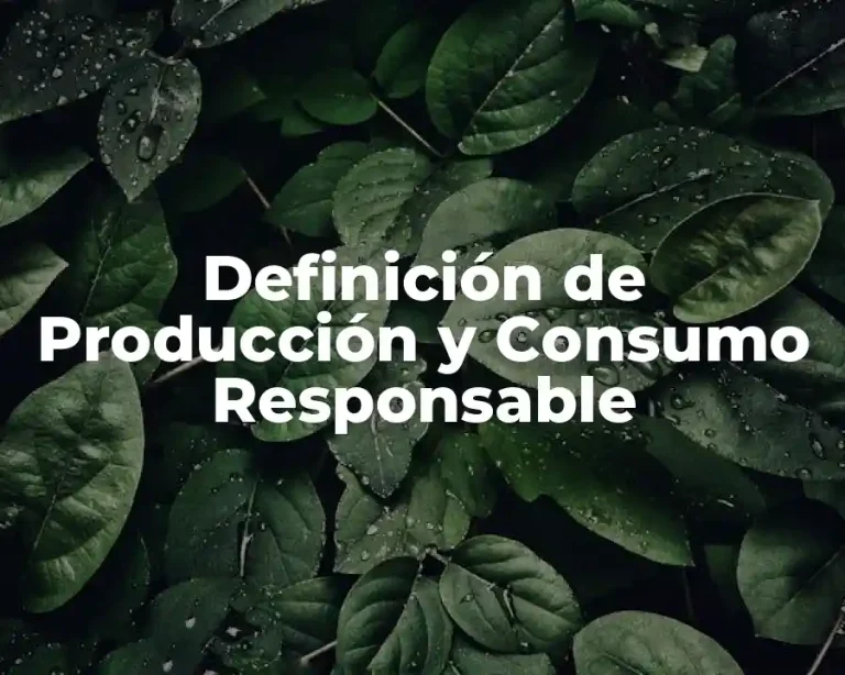 Definición de Producción y Consumo Responsable
