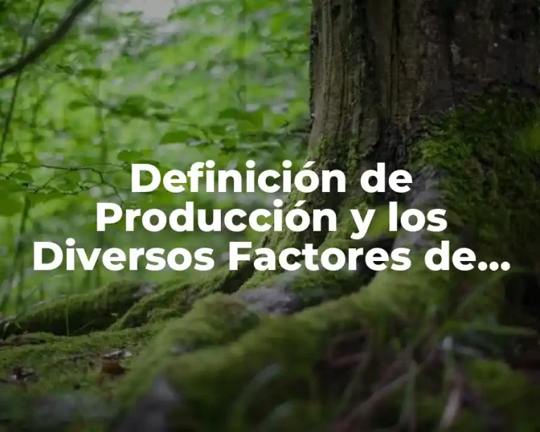 Definición de Producción y los Diversos Factores de Producción