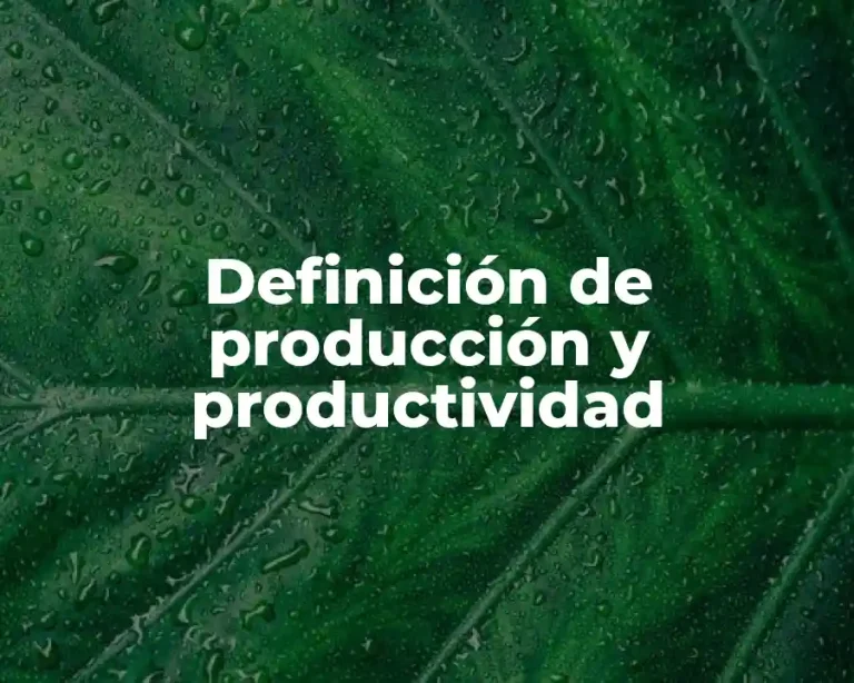 Definición de producción y productividad